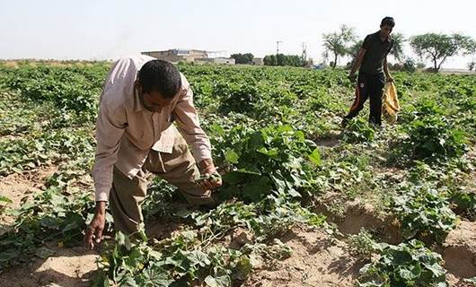مزارعون في خوزستان 