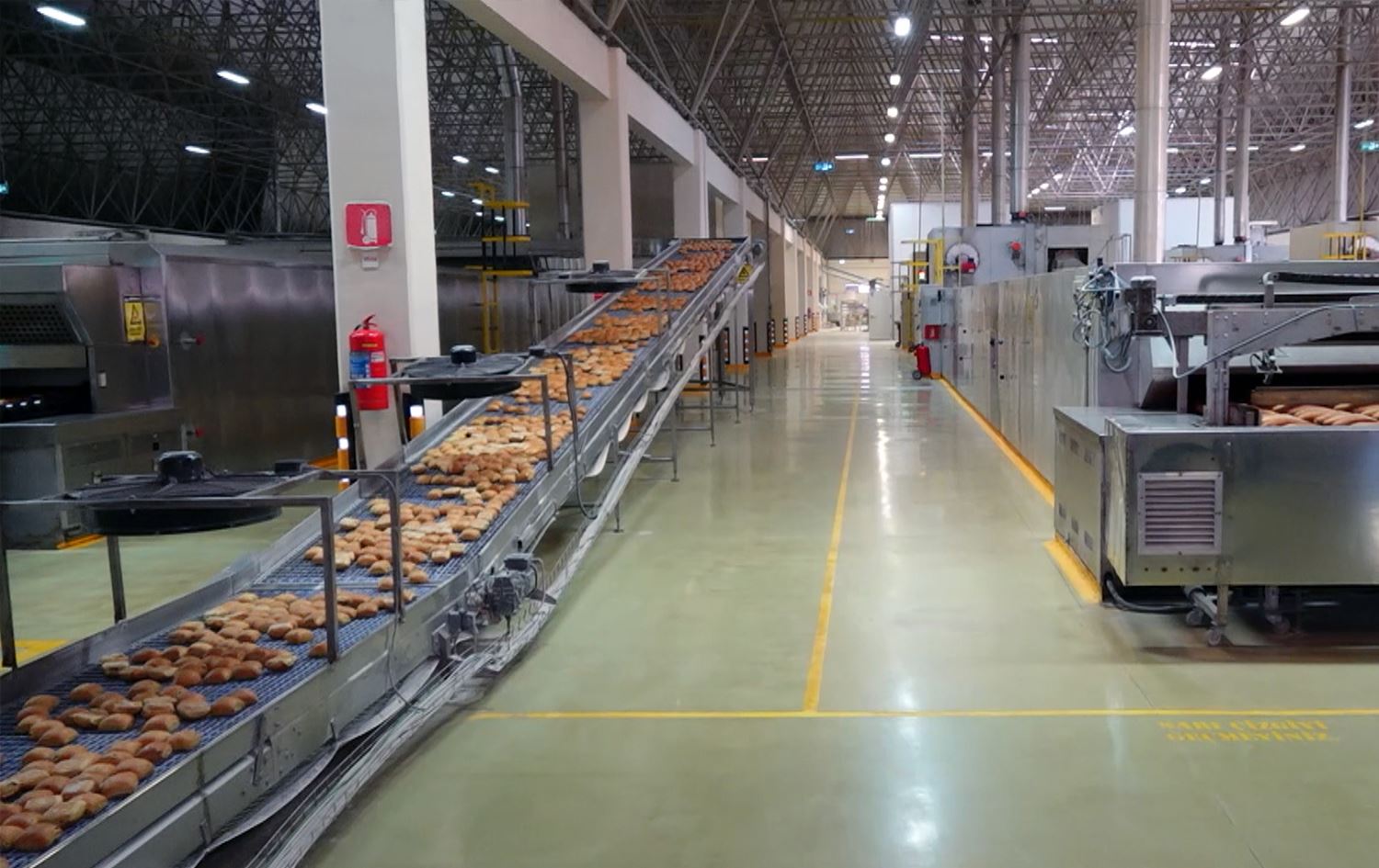 High demand for subsidized bread in Istanbul amid economic crisis