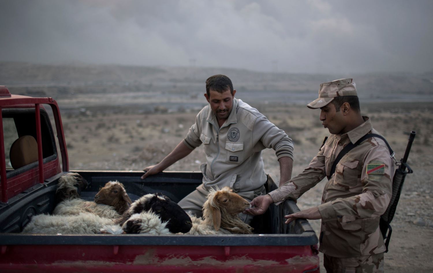 مدير ناحية شيخ سعد لرووداو: قطع دابر تهريب الحيوانات من ايران بشكل كامل