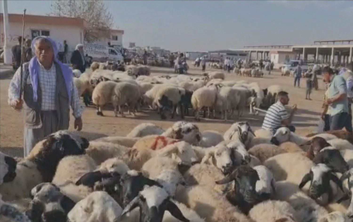 Bazara Ajelan a Rihayê / Wêne: Ji ber dîmenan 