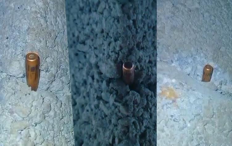 Gule li malên welatiyan ketin / Dîmen taybet ji Rûdawê re hatine şandin