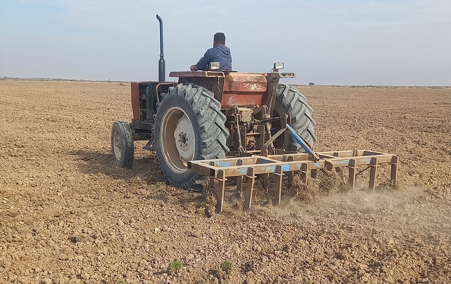 فلاحو مندلي يعوّلون على الأمطار بغياب الخطة الزراعية ودعم الحكومة