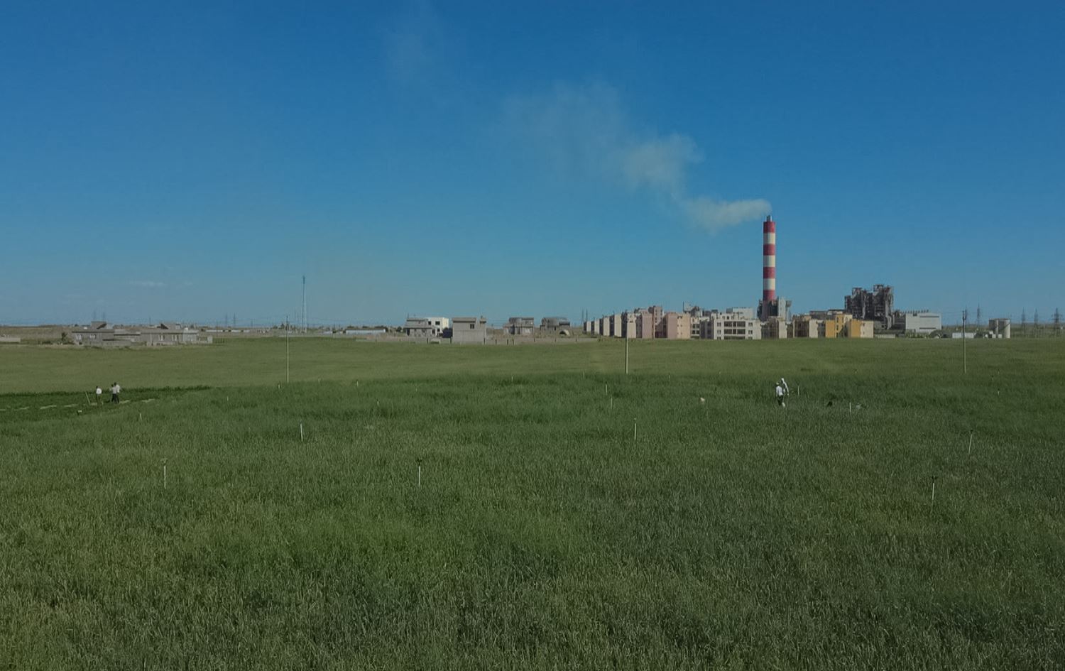 The deadly phenomenon of air pollution