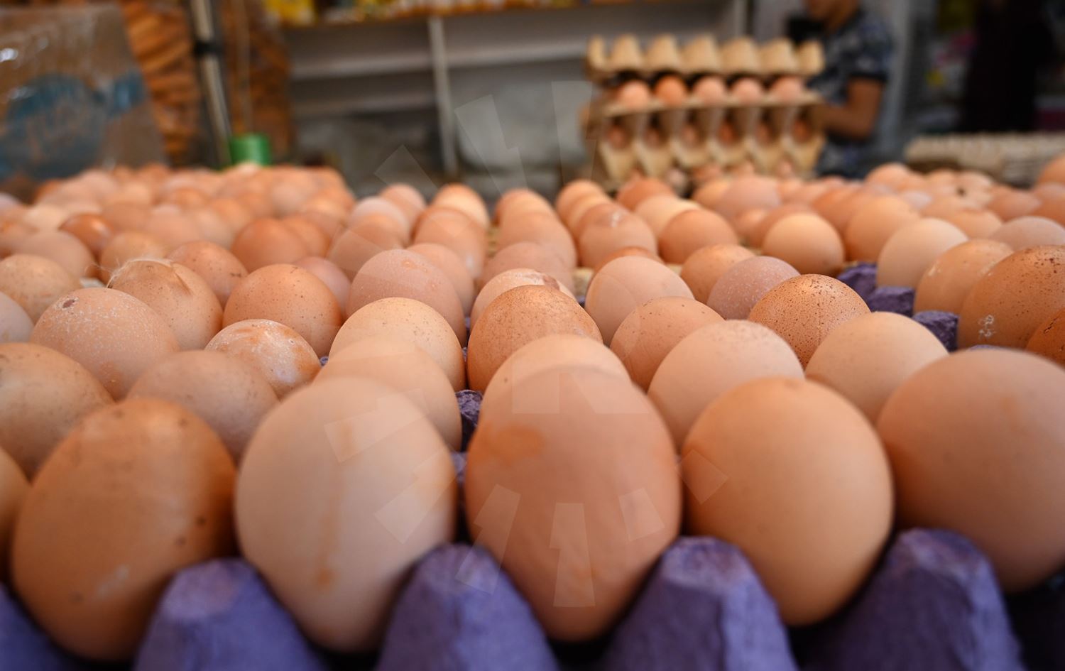 ارتفاع سعر بيض المائدة في بغداد.. التجارة تحدد الأسباب والحلول