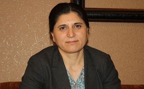 PYD Eşbaşkanı: Sadece Güney Kürdistan silah gönderdi!