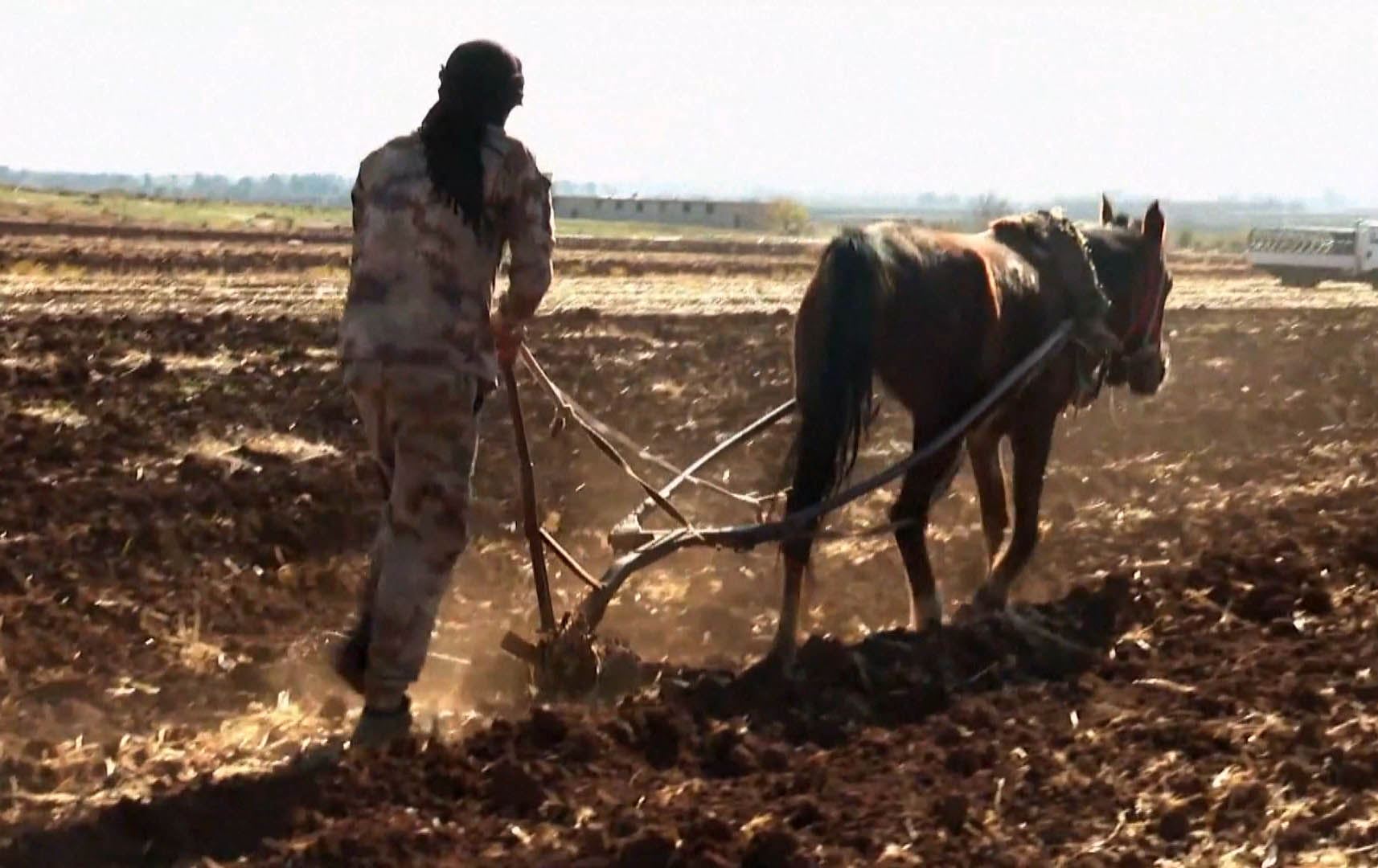 هەژاریی کشتوکاڵی جووتیارانی سووریا، پاریس و بەرلینی خستووەتە مەترسییەوە
