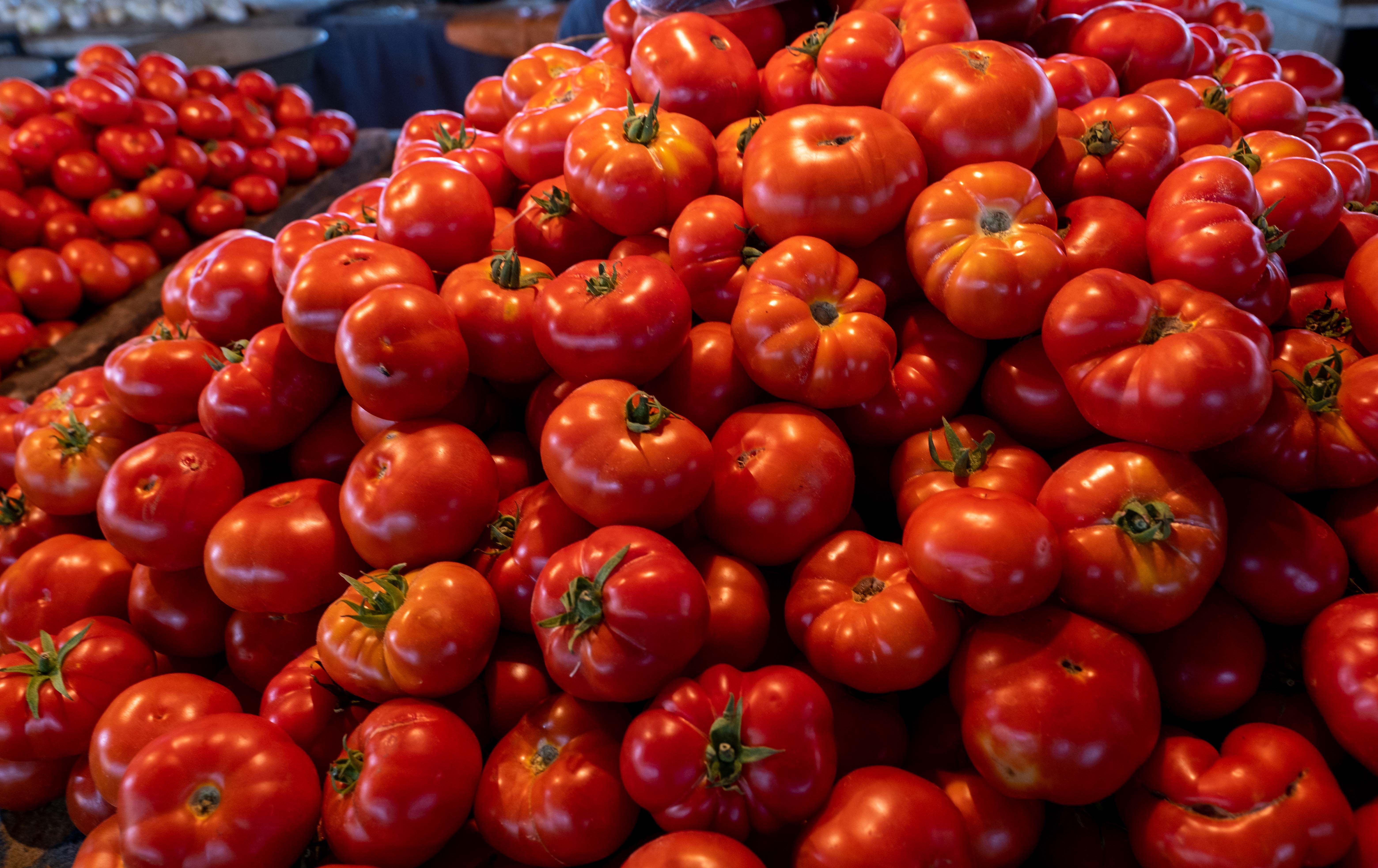 Foto: Bilind Tahir Abdullah / Rûdaw