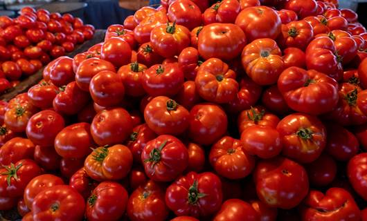 Kürdistan Bölgesi yurt dışından domates ithalatını yasakladı