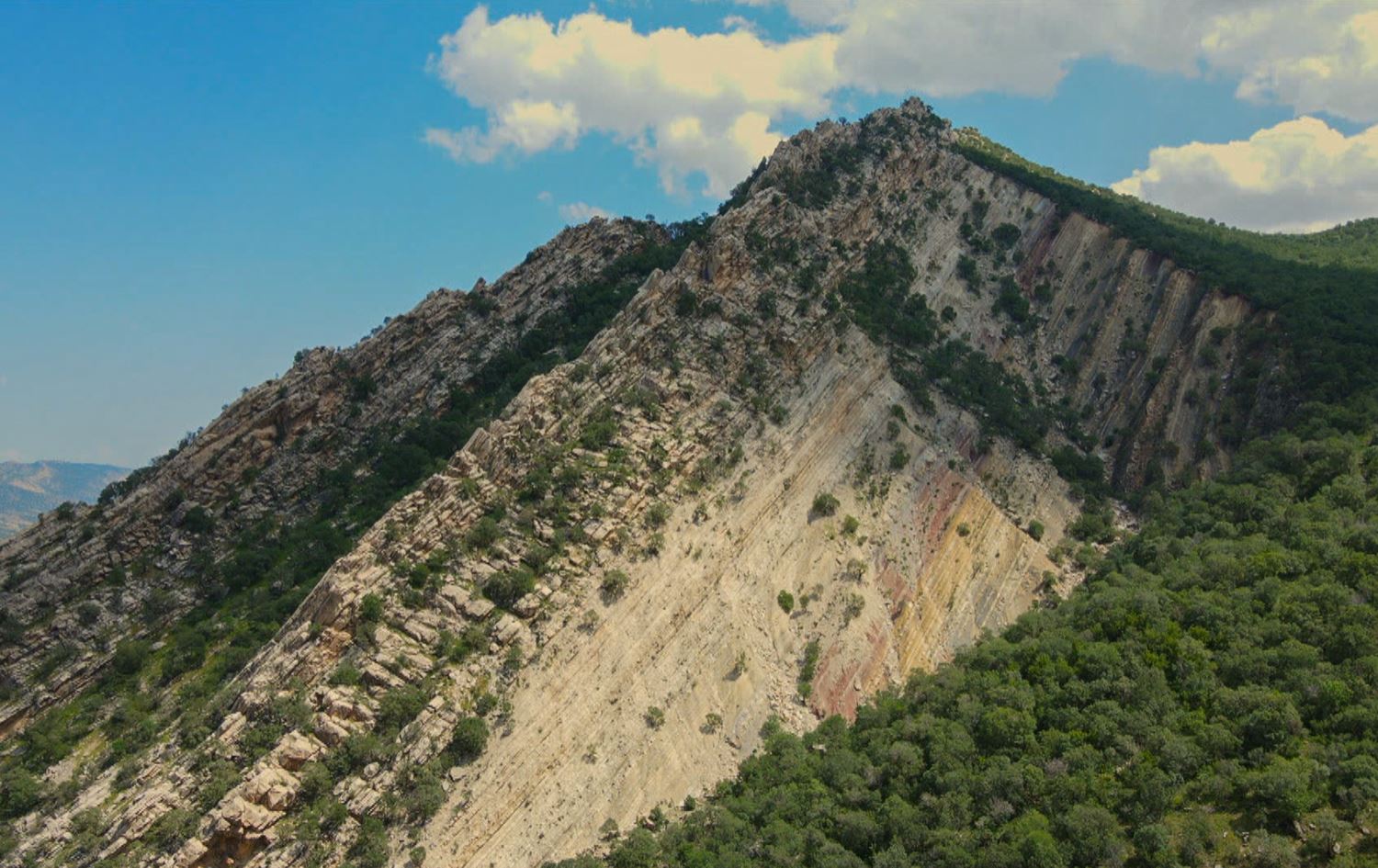 The harmful effects of illegal hunting