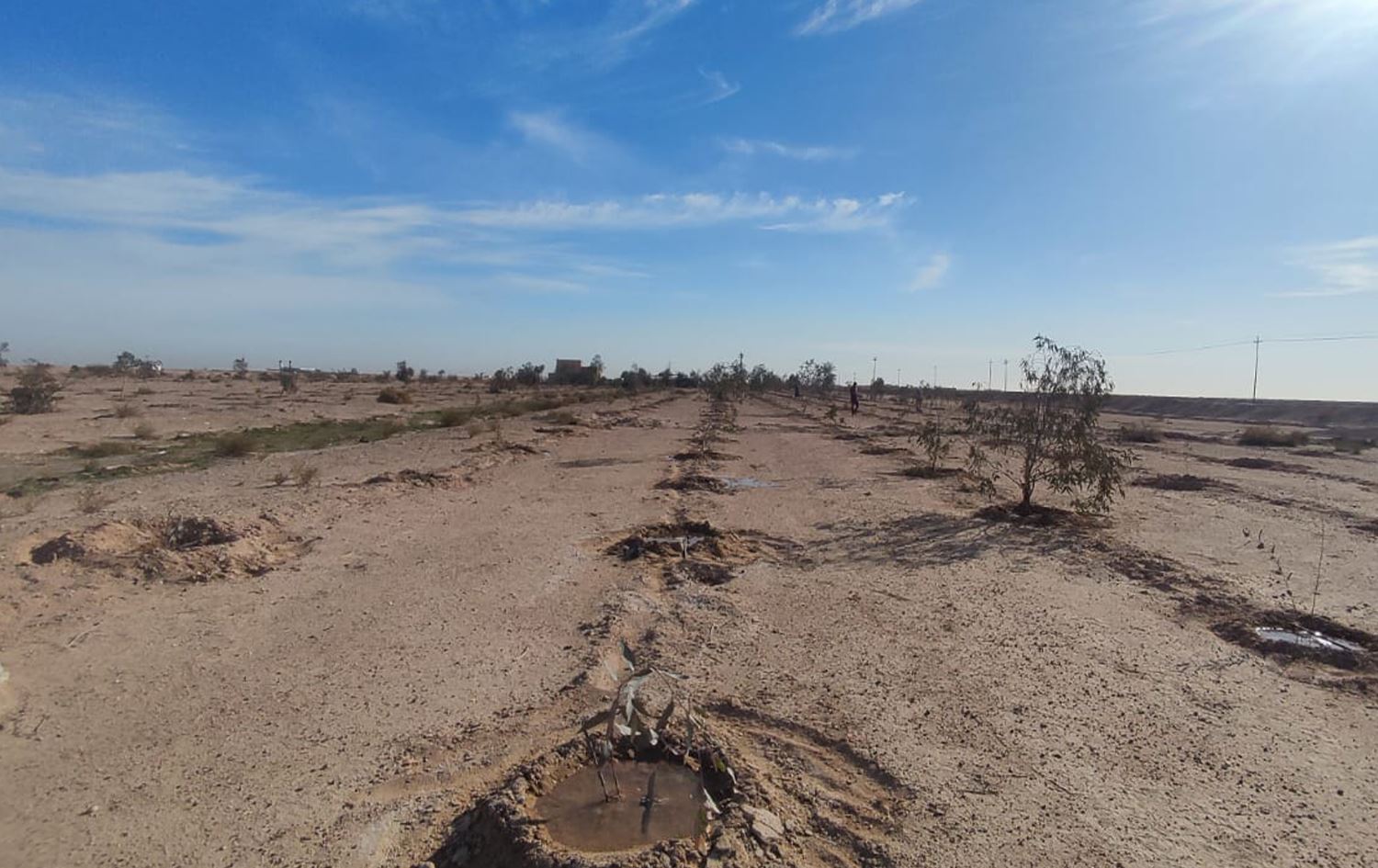 التصحر يجتاح 20% من أراضي النجف الزراعية