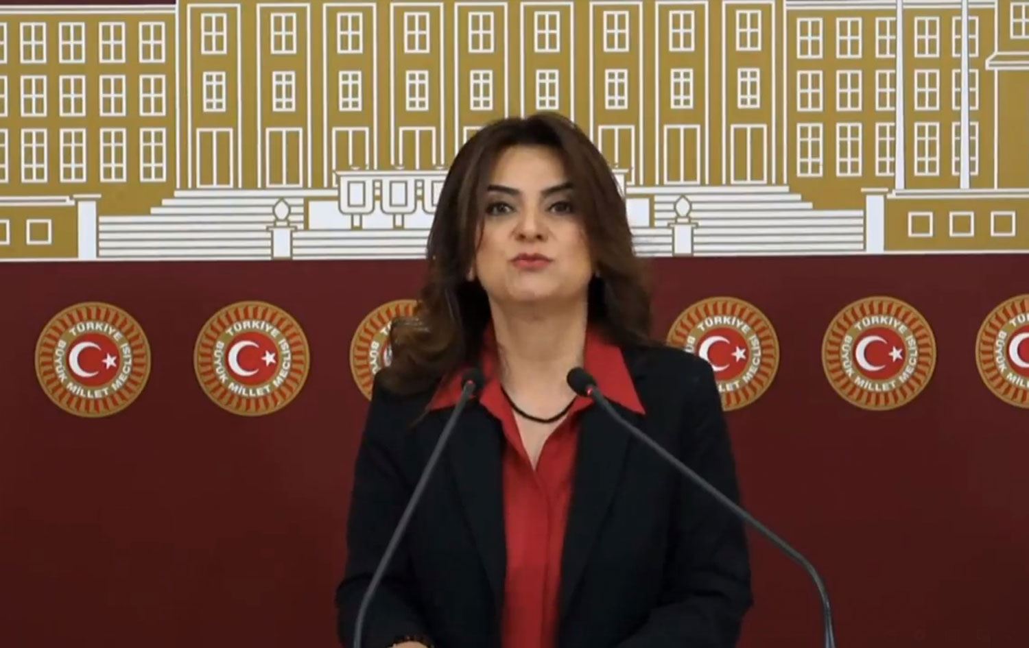 Halkların Eşitlik ve Demokrasi Partisi Grup Başkanvekili Gülistan Kılıç Koçyiğit / Foto: DEM Parti