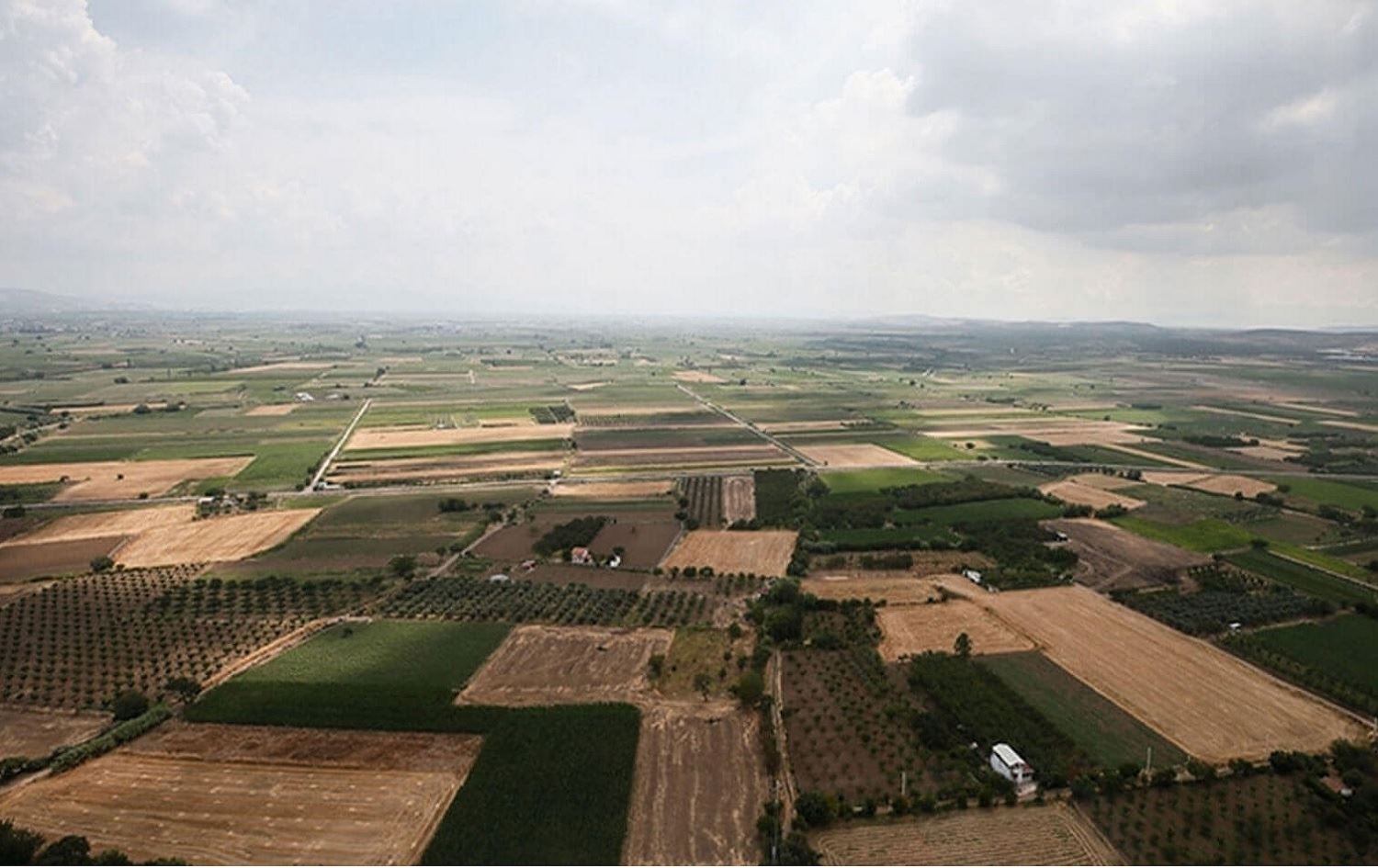 Şaredariya Xelfetiyê beriya hilbijartinan 150 parçe erd difiroşe / Wêne: Arşîv