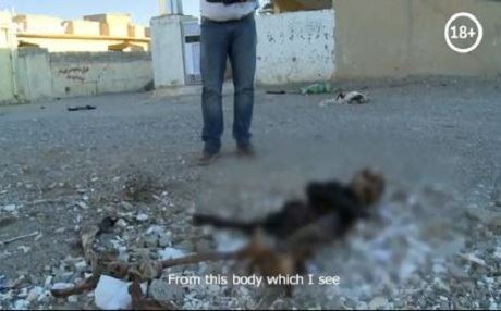 Li Zûmarê kûçik û pisîk laşê kuştiyên DAIŞê dixwin