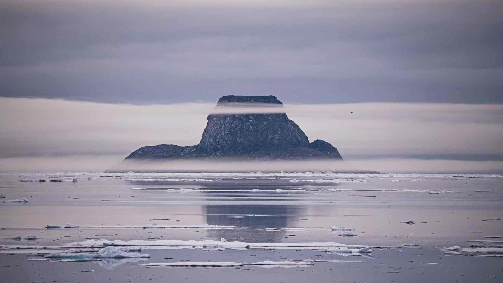 وێنەیەک لە دوورگەی رۆس سڤاڵبارد کە لەلایەن رێبین وایەڵدمانەوە گیراوە