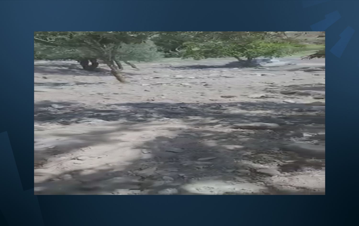 Grûpên çekdar li Efrînê girekî dîrokî talan dikin