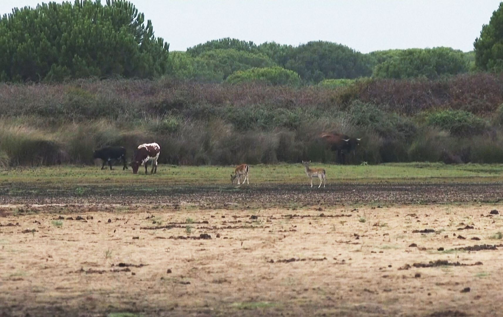 بەرزبوونەوەی پلەی گەرما لە جیهان 