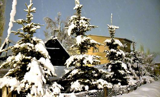 Kars'ın Sarıkamış ilçesinde kar yağışı etkili oldu - AA