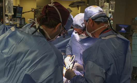 Bir hastaya genetiği değiştirilmiş domuz böbreği nakledildi