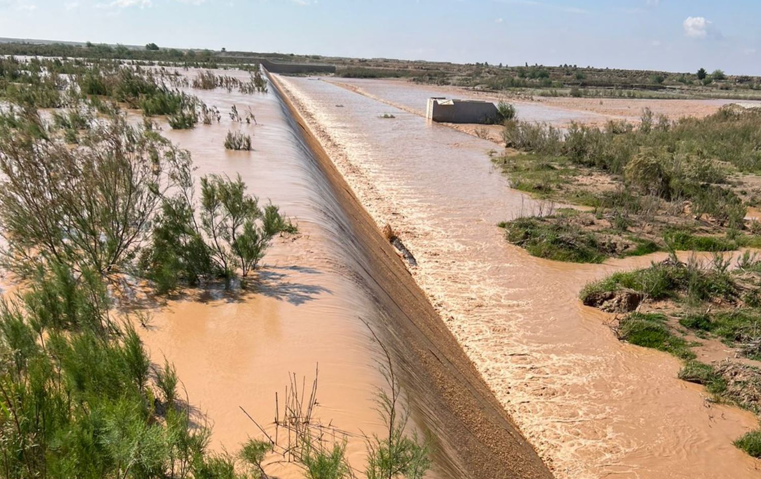 فيديو.. سيول في بدرة تعود بالمنفعة على الفلاحين