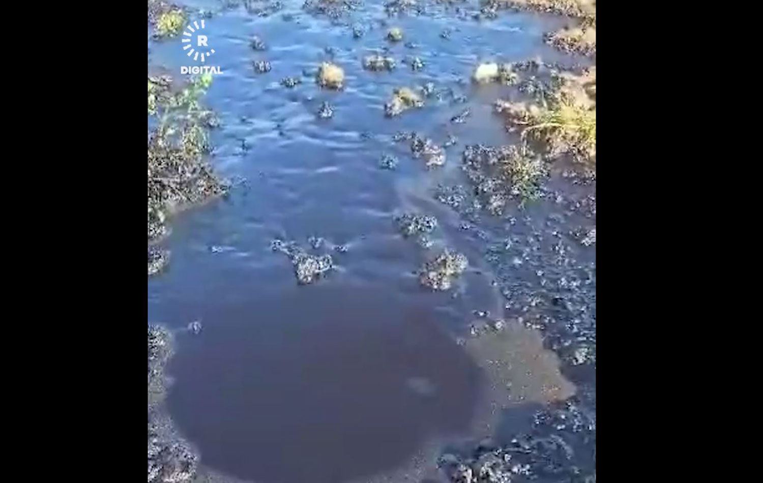 Petrol tevlî çemê gund bû / Wêne: Rûdaw