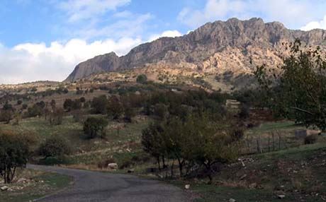 لە باڵەكایەتی دیاردەی راوكردن زیادیکردووەتەوە