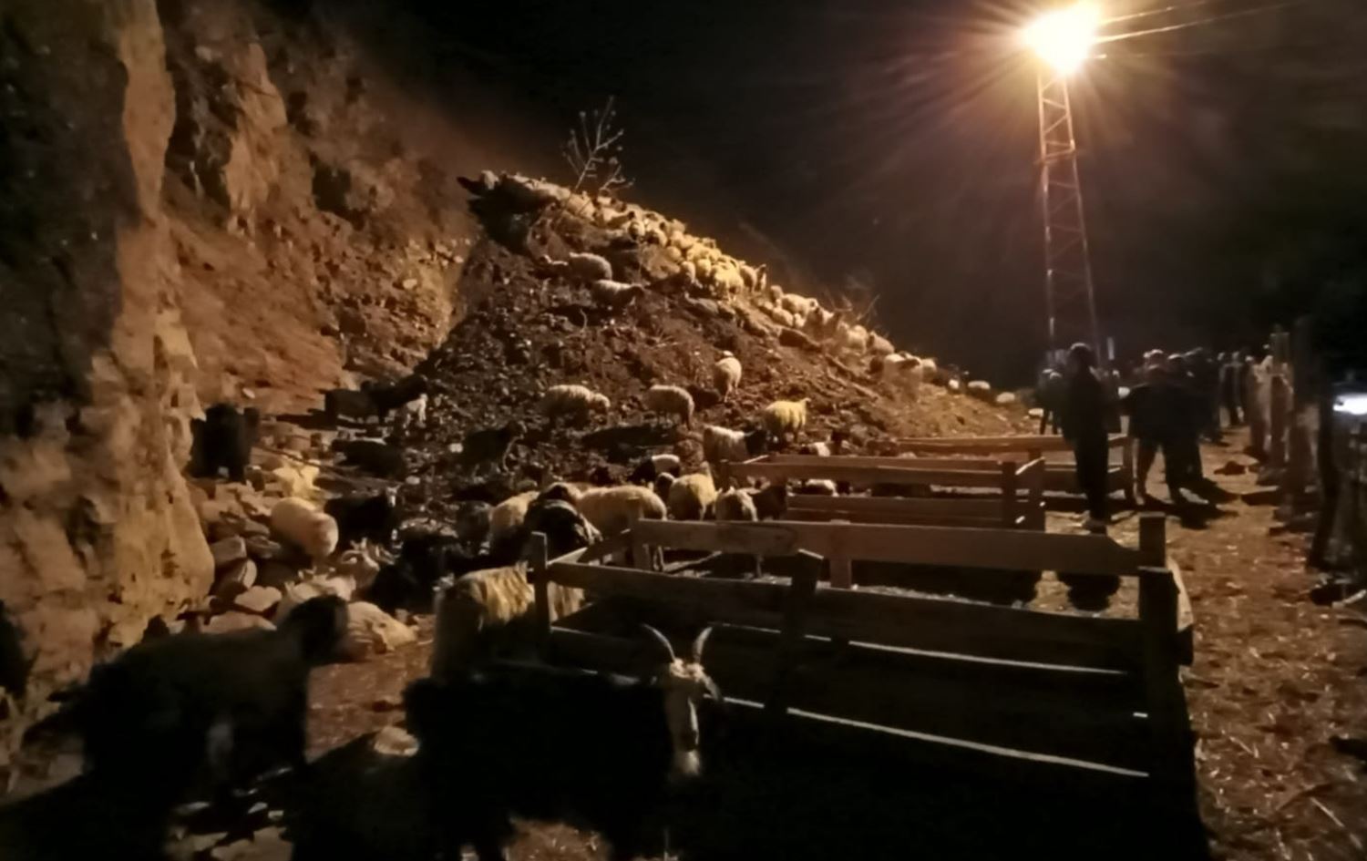 Li Colemêrgê erd heziya/ Wêne: AA