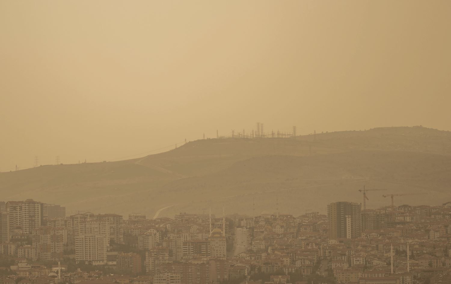 Tozbarîn li Enqereyê / Wêne: AA