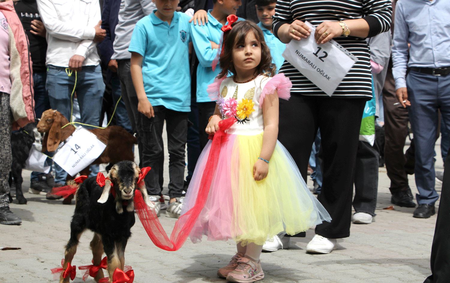 Pêşbirka li Îdirê / Wêne: AA