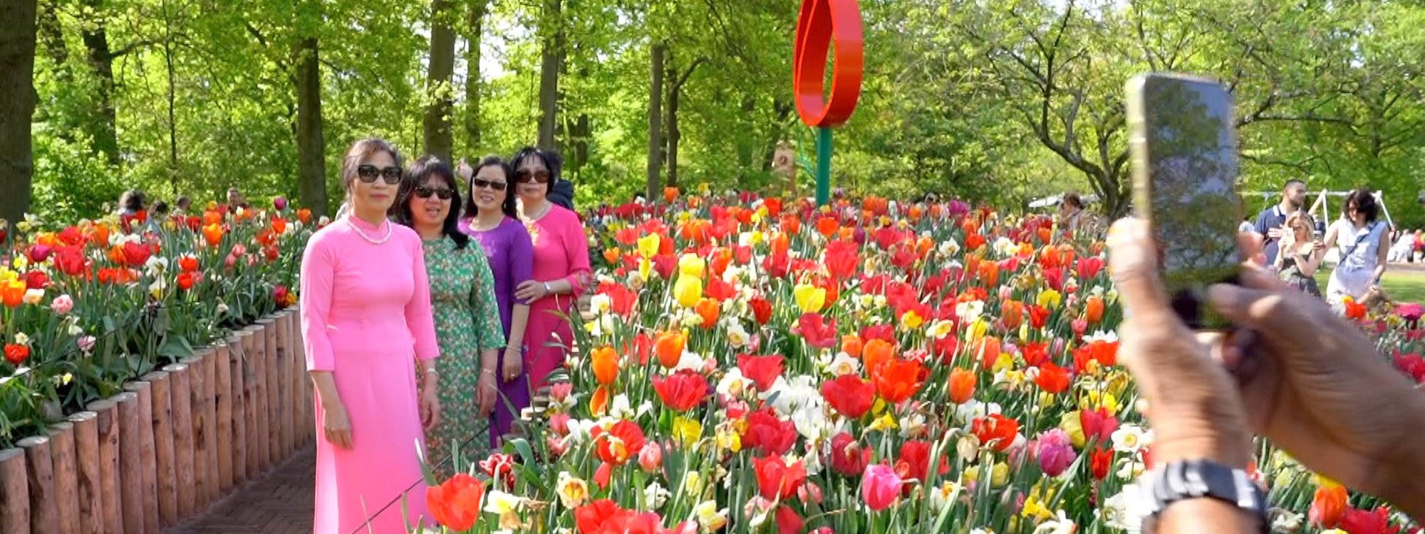 گوڵی باخچە بەنێوبانگ و رازاوەکەی ئەورووپا