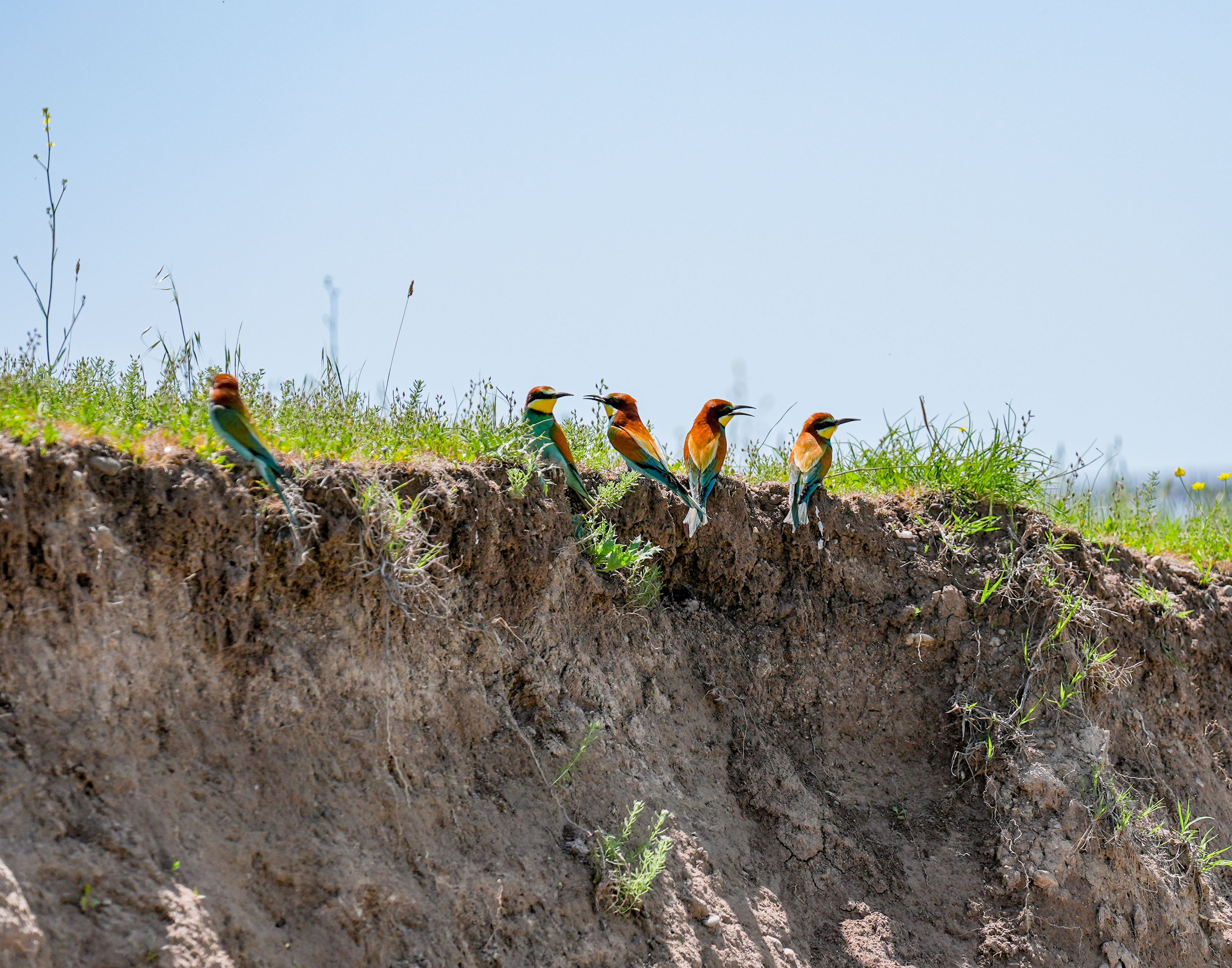 Foto: Bestami Bodruk