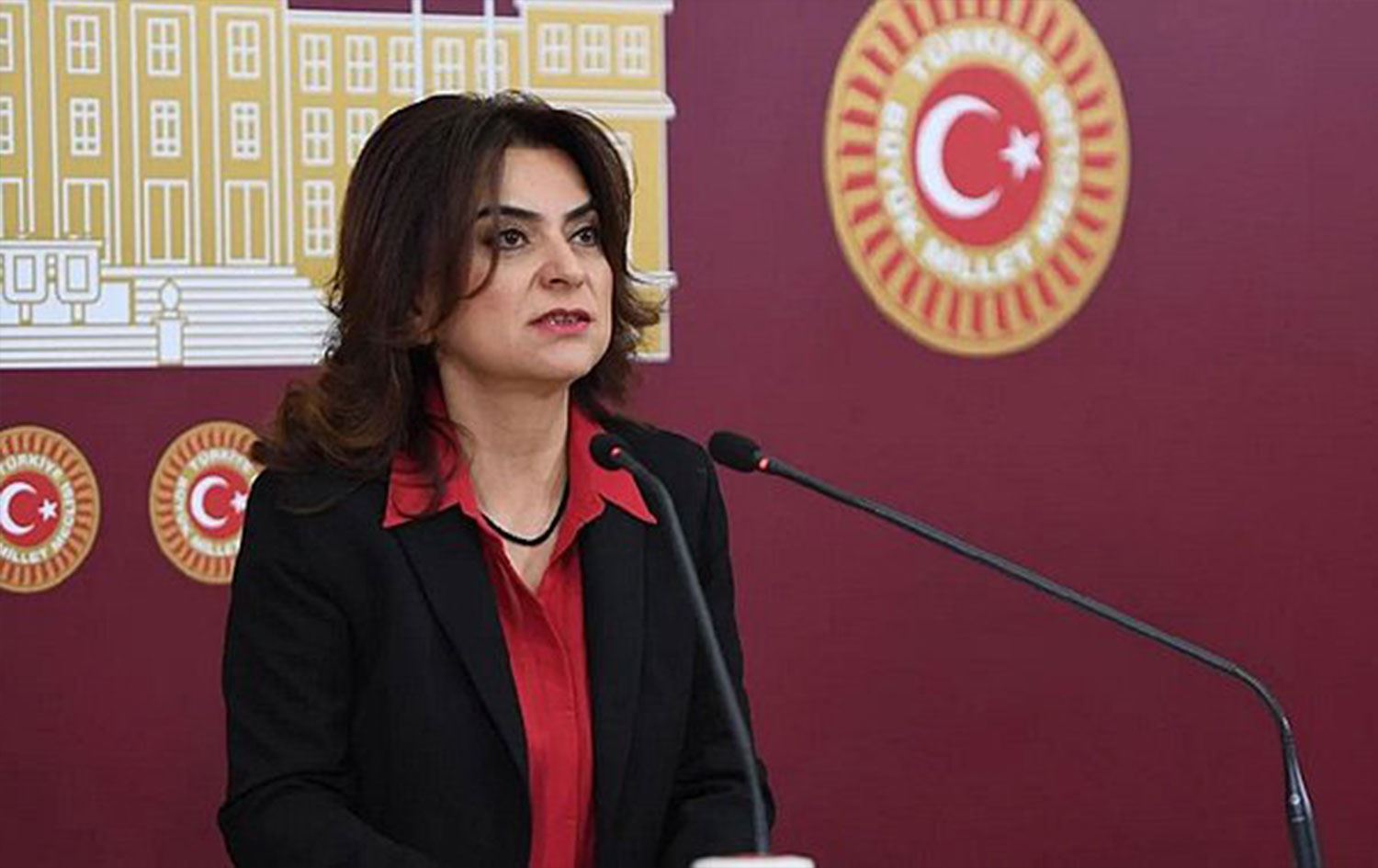 DEM Partili Gülistan Kılıç Koçyiğit