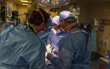 16 Mart 2024'te Massachusetts Genel Hastanesi'nde cerrahlar dünyanın ilk genetiği değiştirilmiş domuz böbreği naklini yaparken çekilen kare. / AFP