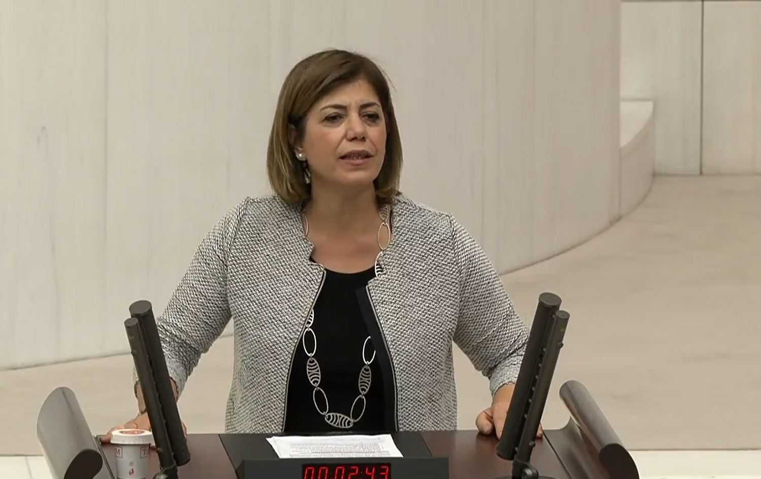 Parlamentera DEM Partiyê Meral Daniş Beştaş/Wêne: Twitter