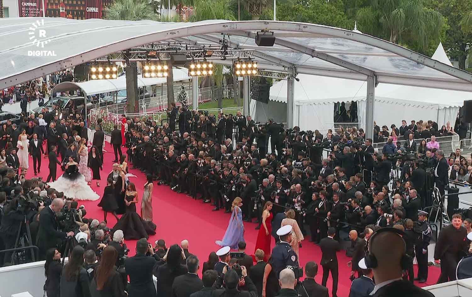 بە نمایشی سەگێک لەسەر فەرشی سوور 77ـەمین فێستیڤاڵی فیلمی کان دەستیپێکرد