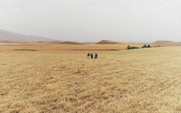 The expanse of farmland in Kareza Dalo village in Sulaimani province's Chamchamal district. Photo: Rudaw