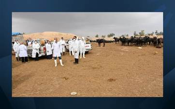 Members of a veterinary team prepares to spray cattle disinfectant in Kirkuk in 2022. Photo: AFP