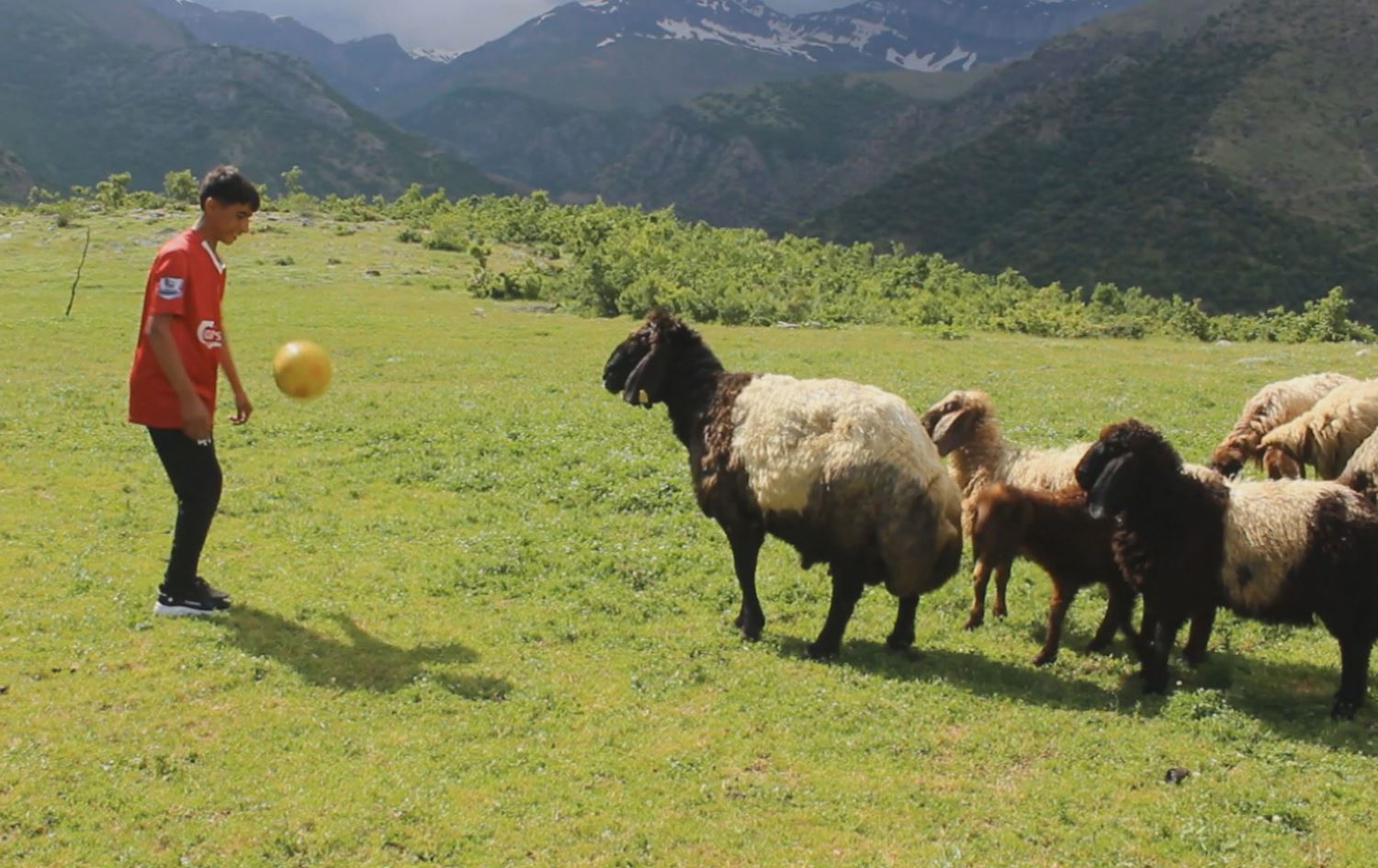 Ender Sagim/vîdeo ji Rûdawê re hate şandin