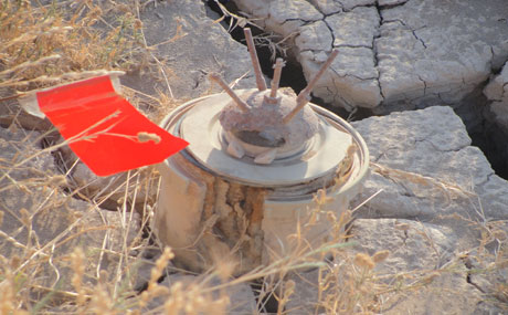 لە رواندز مین قاچی شوانێکی پەڕاند