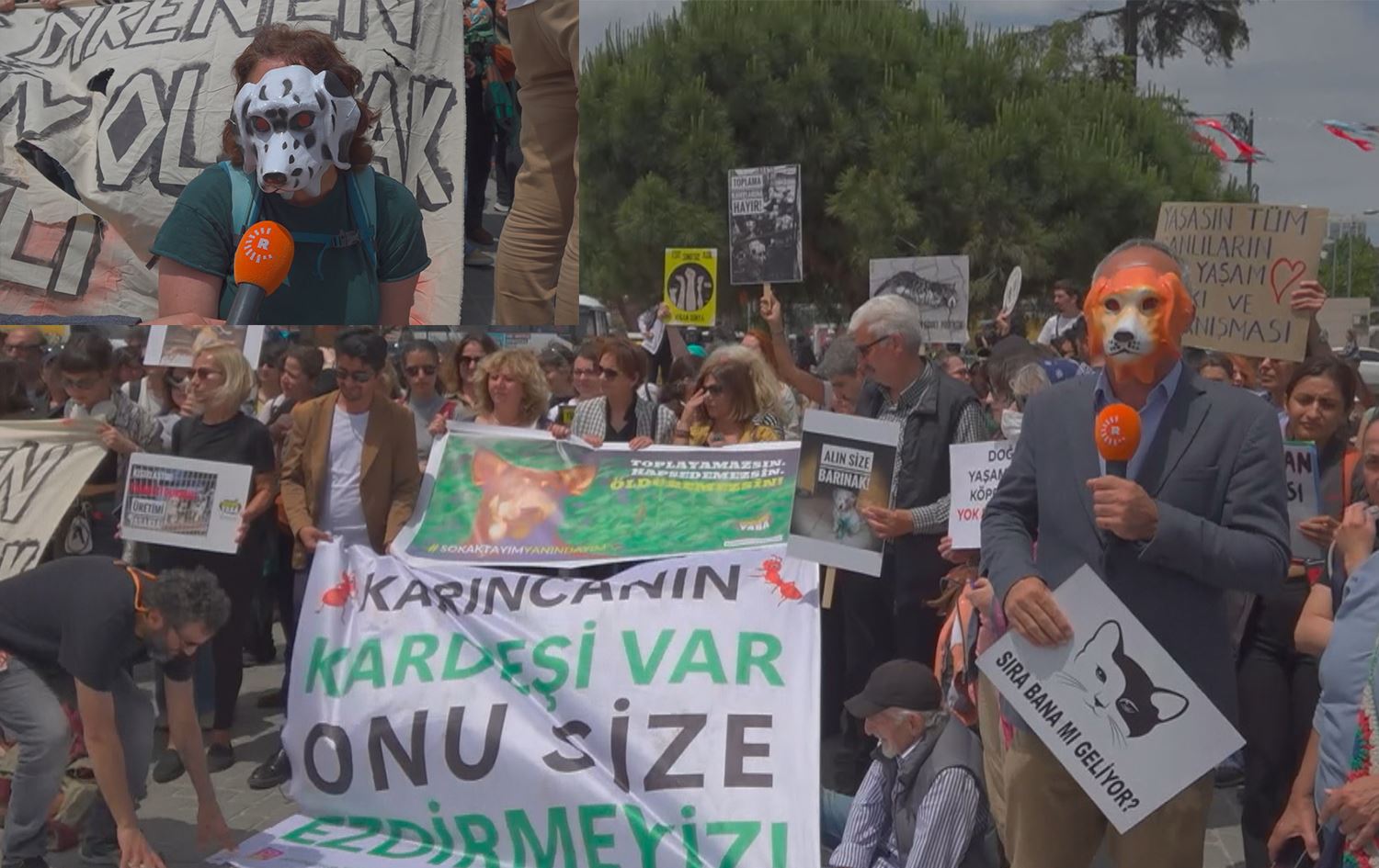 TIRKIYE - Ji bo kuştina kûçikên bêxwedî amadehî tê kirin