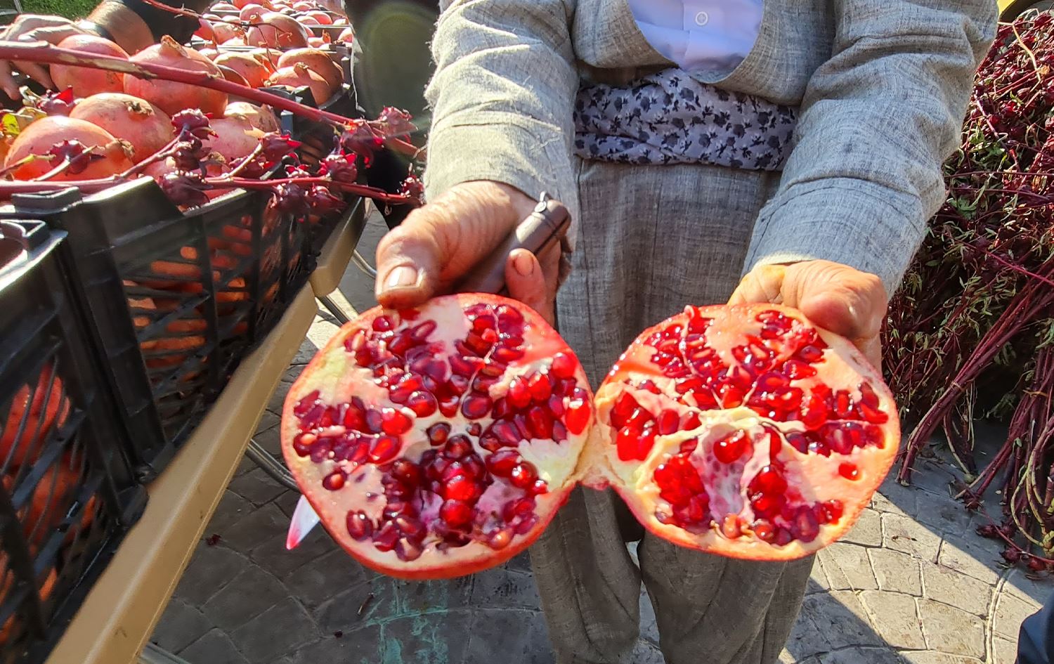 توێژینەوەیەک: هەنار مەترسیی تووشبوون بە چەوریی جگەر کەمدەکات