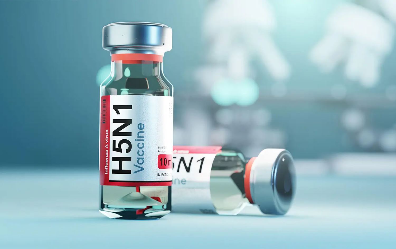 لە ئەمریکا ڤاکسینی نوێی دژ بە ئەنفلەوەنزای باڵندە بەرهەمدەهێنرێت