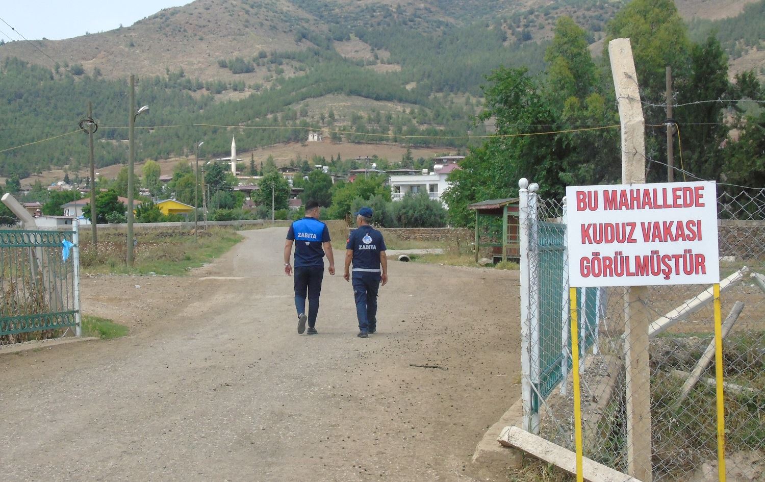 Li 2 gundên Îslahiyeyê ji ber harbûna kûçikan karantîna hat ragihandin / Wêne: AA