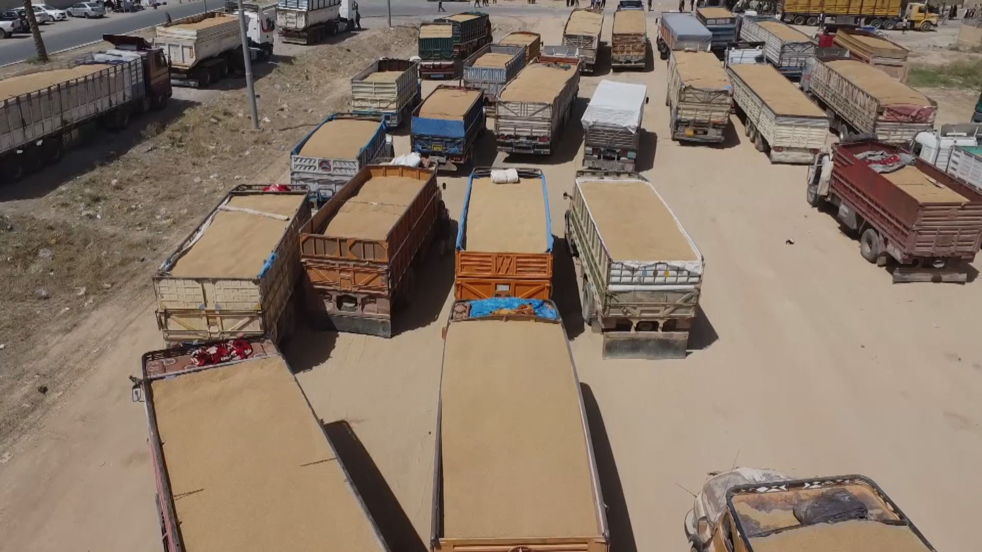 بەشێک لە جووتیاران لە سایلۆی مەخموور: پێمان گوتراوە پارە بدەن بەبێ چاوەڕوانی گەنمەکانتان وەردەگرین