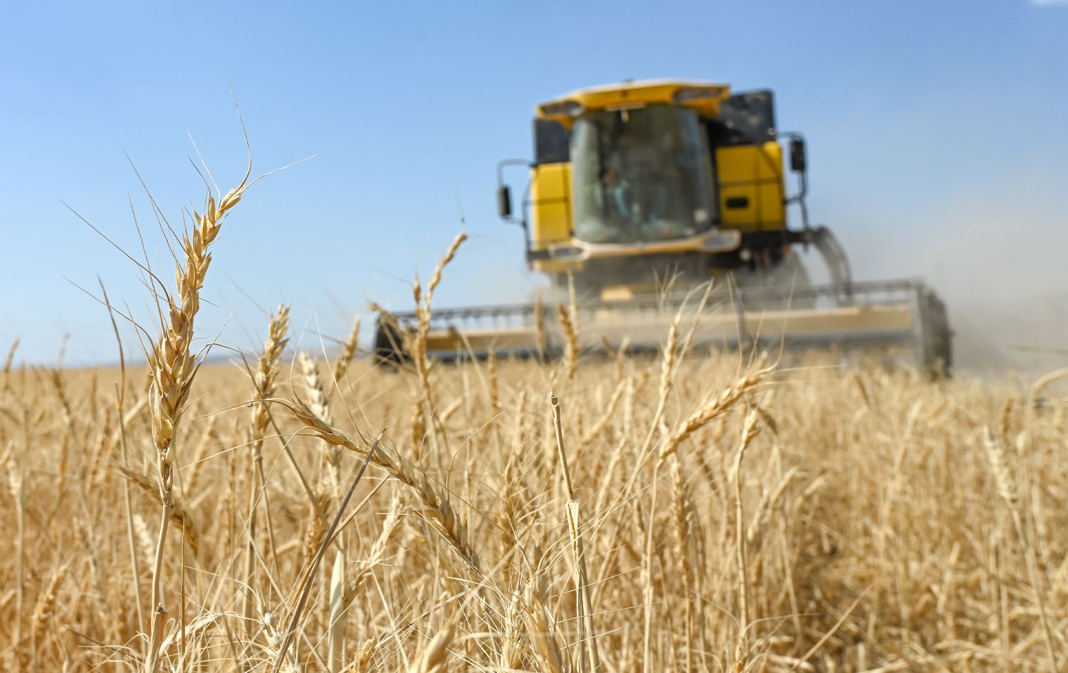 Iraq not serious about solving Kurdish farmers’ issue: Official