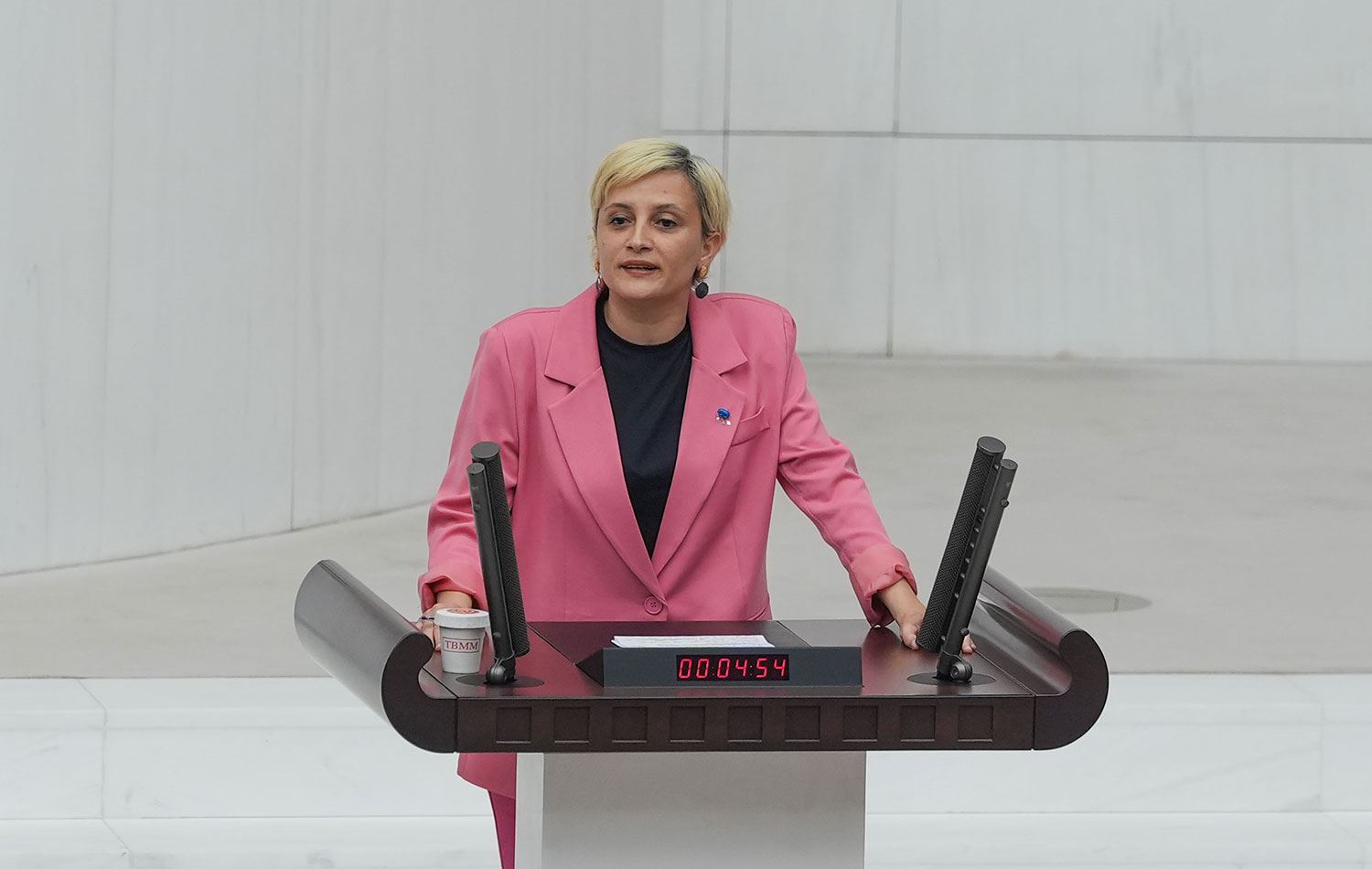 DEM Parti Mersin Milletvekili Perihan Koca