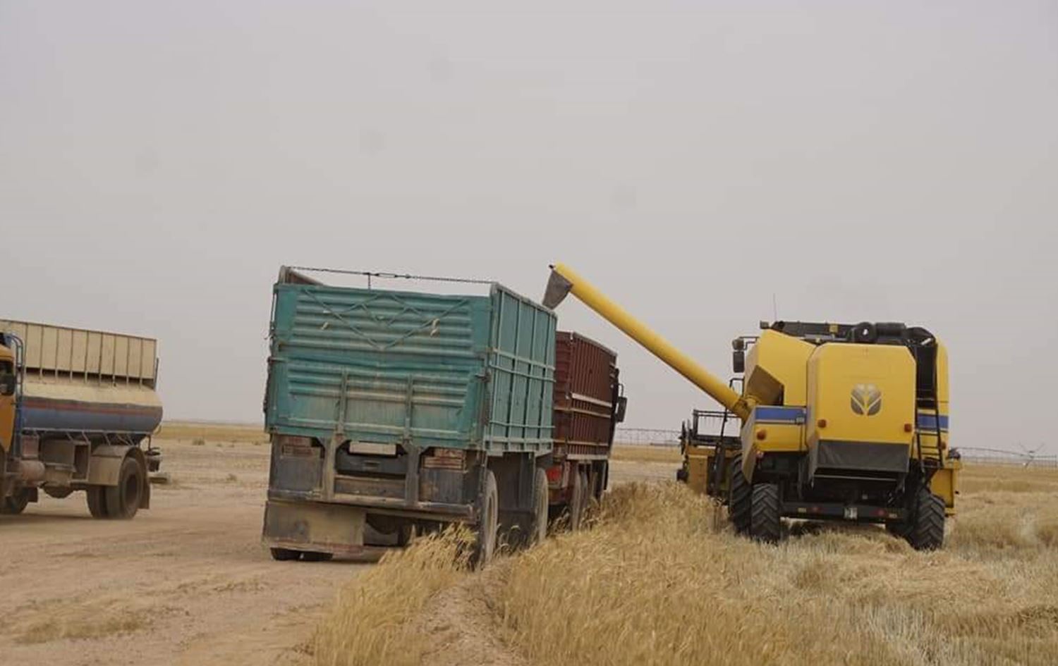 طوابير طويلة وزخم وتأخير بمراكز تسليم الحنطة في نينوى