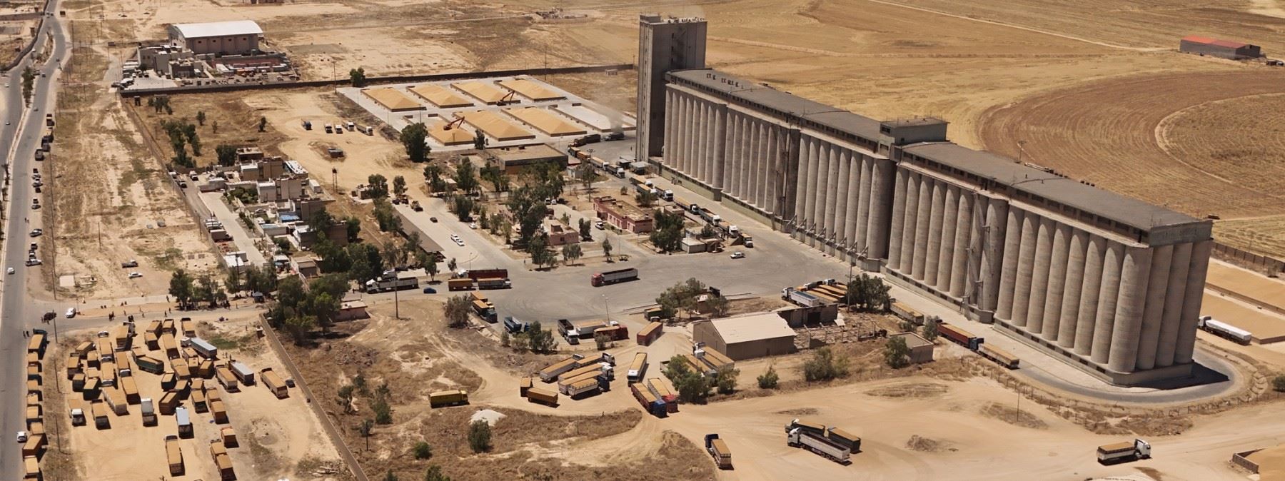 طول طابور تسليم الحنطة في سايلو مخمور يبلغ 20 كيلومتراً