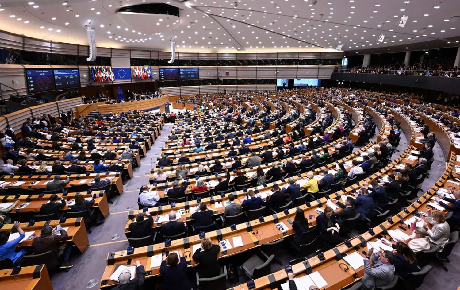 İsveç Sol Parti üyesi: Kürtlerin AP seçimlerine katılması çok önemli