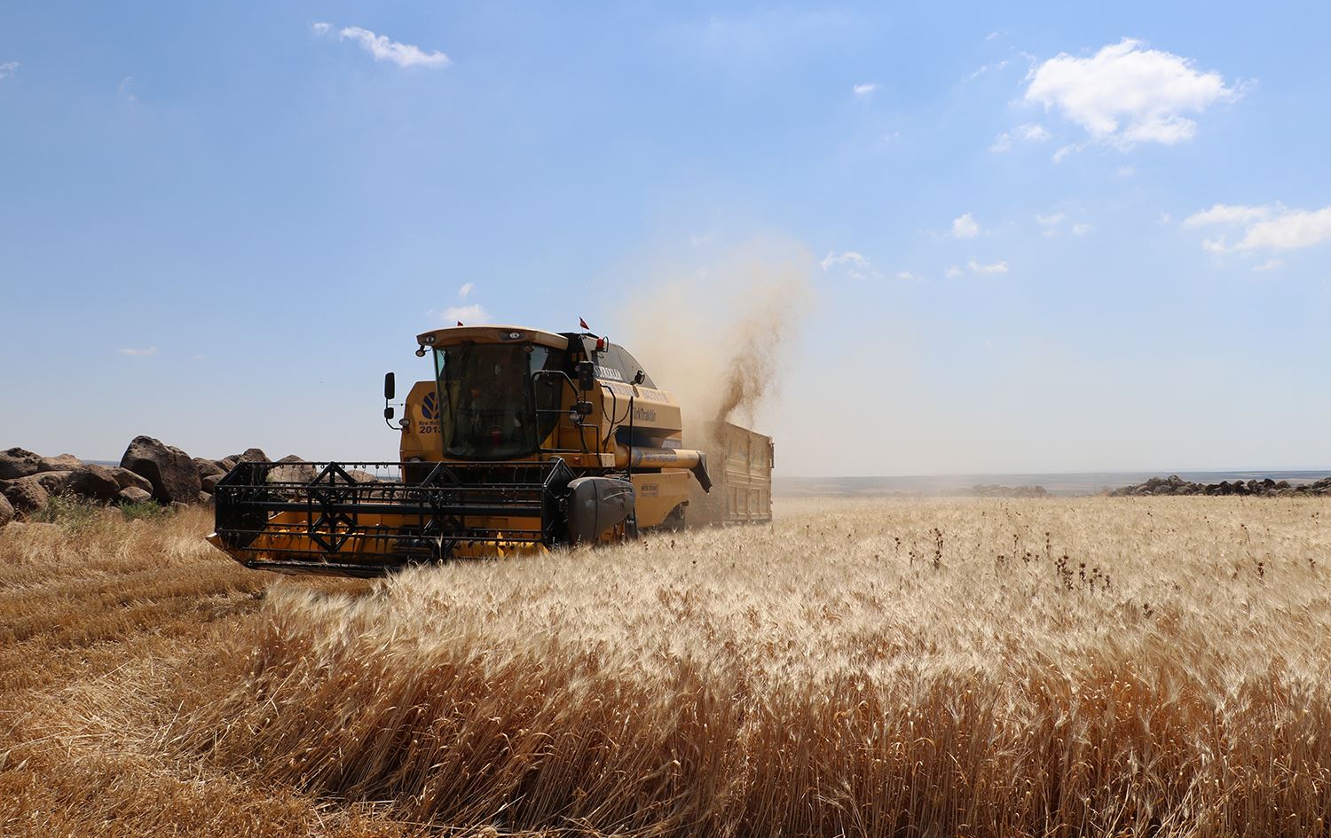 Cotkarên Bakurê Kurdistanê ji bihayê dexlûdan ne razî ne / Wêne: AA