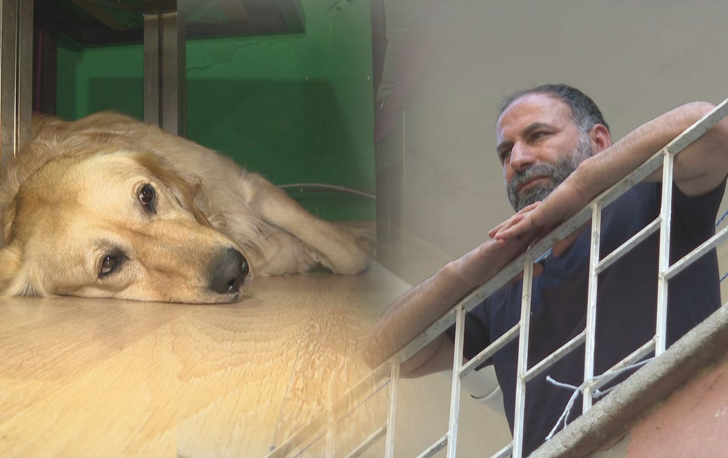 Ji ber Kurdî mala wî lê kirin zindan û kuçikê wî jî ji nan û avê ket